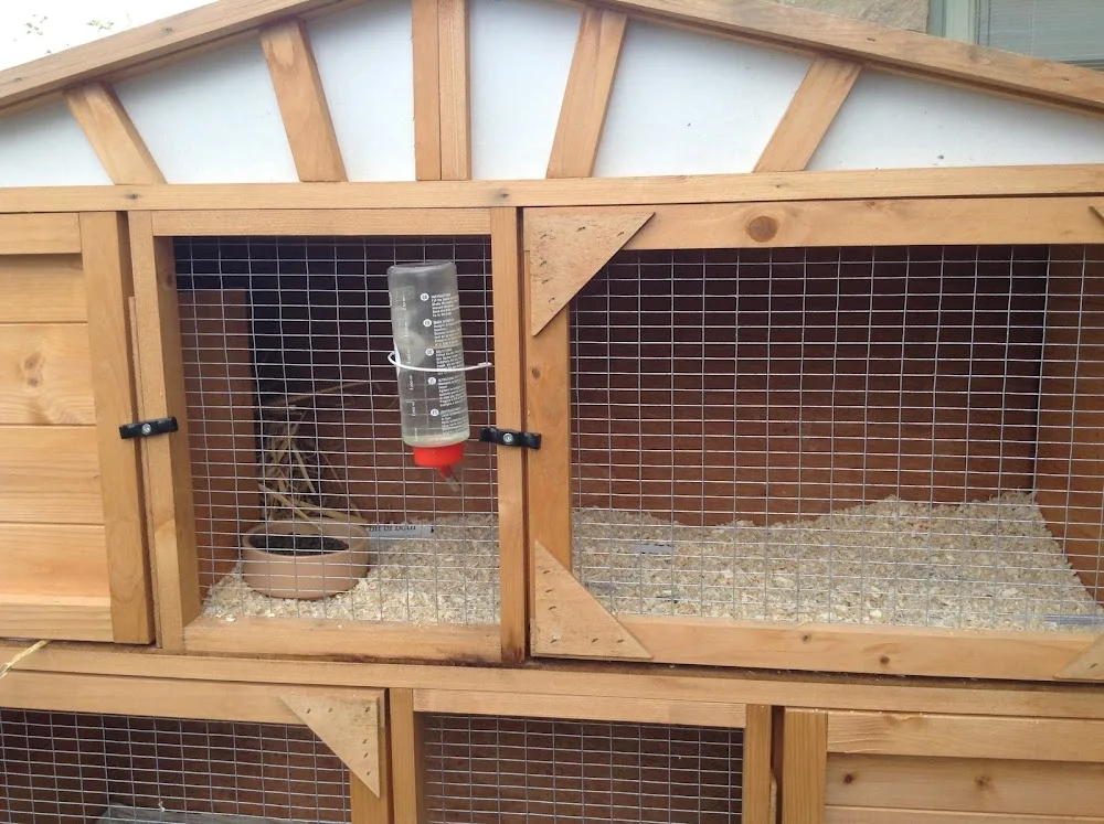 NKALKA Bunny & Guinea Pig Hotel - Kirklees pet otel