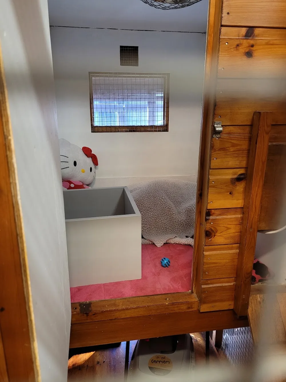 Purrfect Cattery - Kirklees pet otel görseli 3