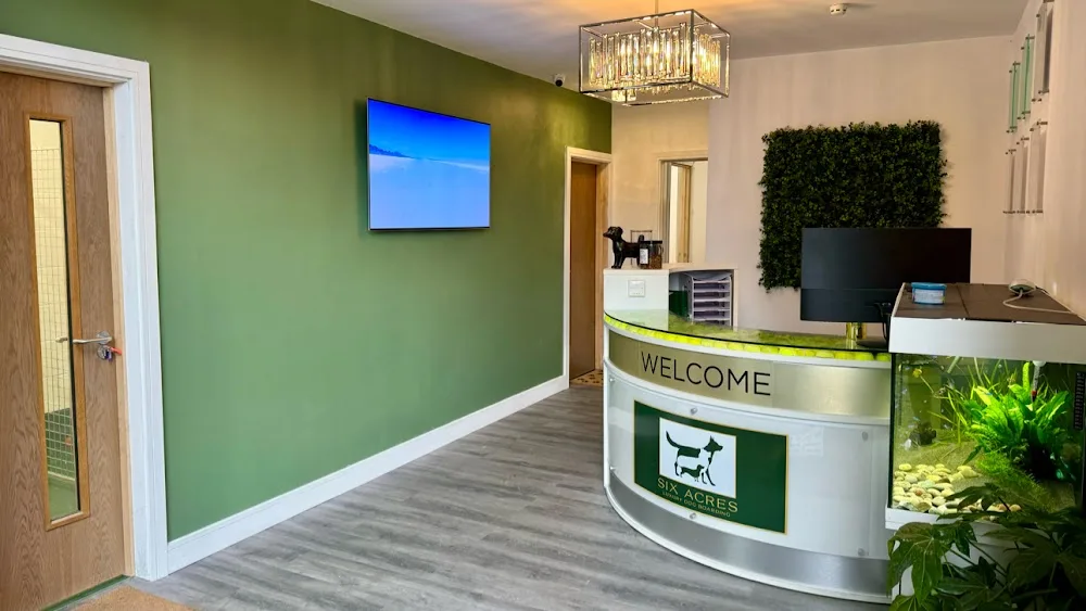 Six Acres Luxury Dog Boarding - Kirklees pet otel görseli 2