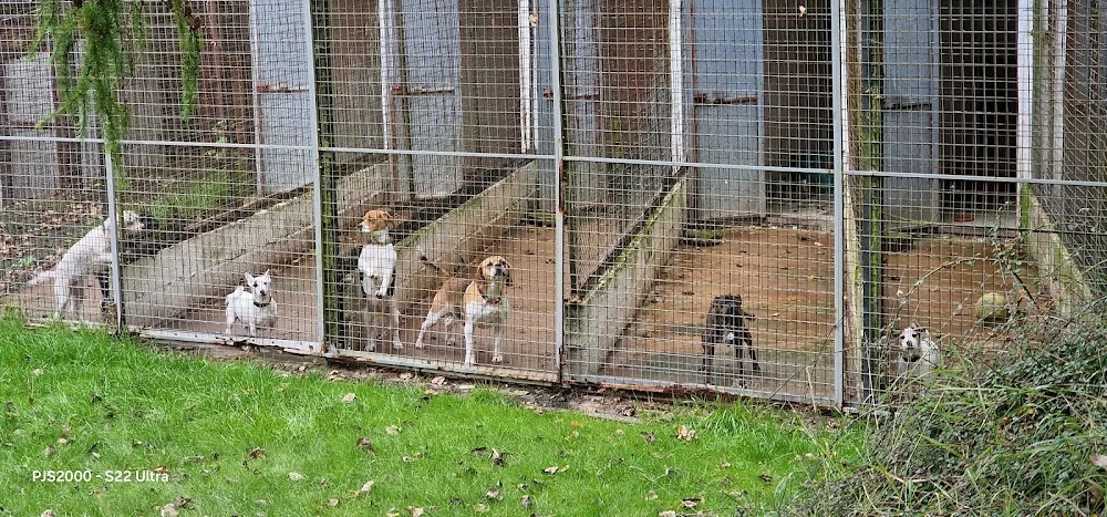 Solwol Boarding Kennels and Cattery - Kirklees pet otel görseli 3