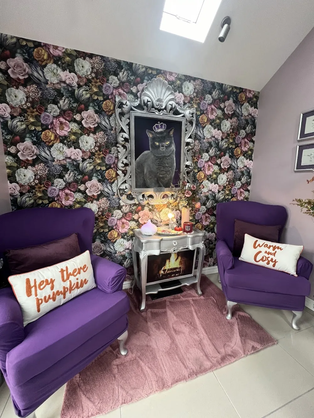 The Ings Luxury Cat Hotel - Kirklees pet otel görseli 3
