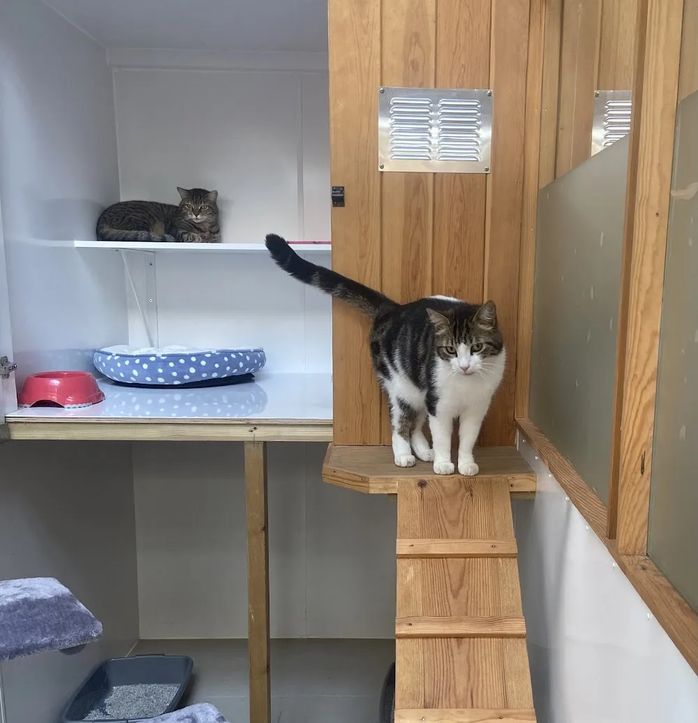 The Old Mistal Cattery - Kirklees pet otel görseli 3