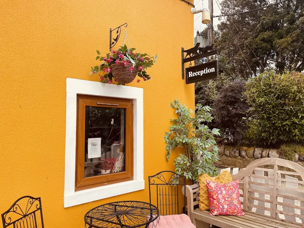 Toot Hill Pet Boarding Ltd - Kirklees pet otel görseli 3