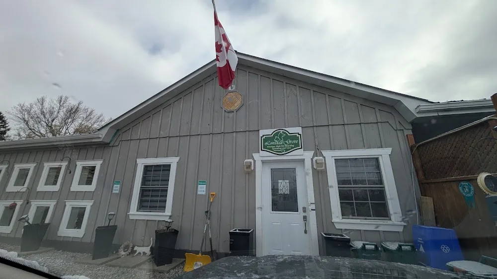Lonsdale Grove and Cat and the Fiddle, Boutique Style Pet Boarding, Grooming and Care - Kitchener pet otel görseli 3