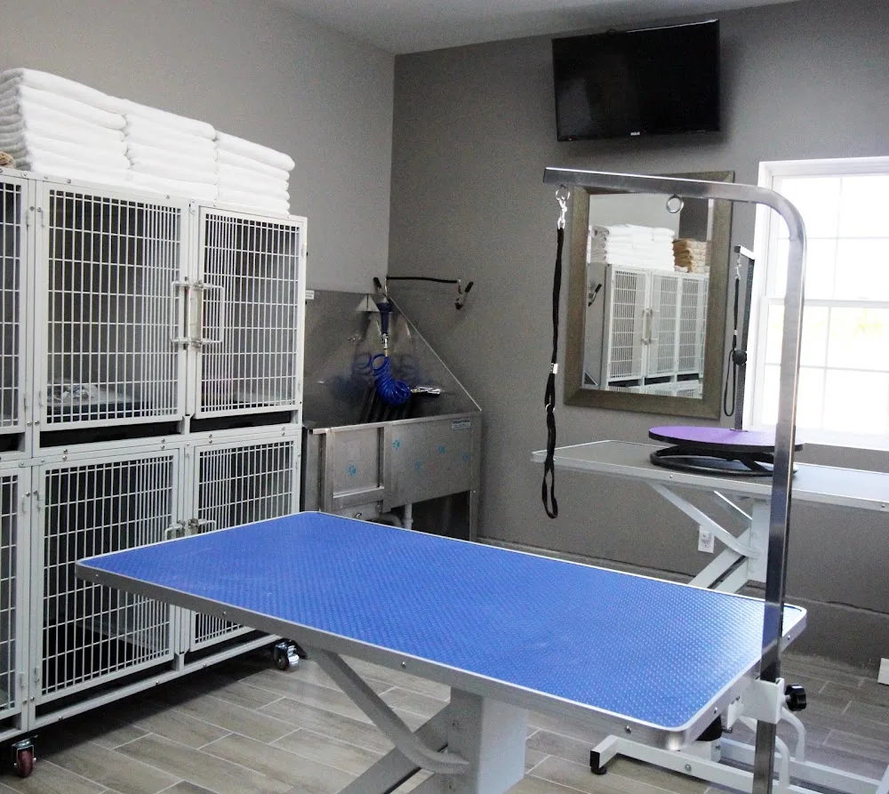 Lonsdale Grove and Cat and the Fiddle, Boutique Style Pet Boarding, Grooming and Care - Kitchener pet otel görseli 4