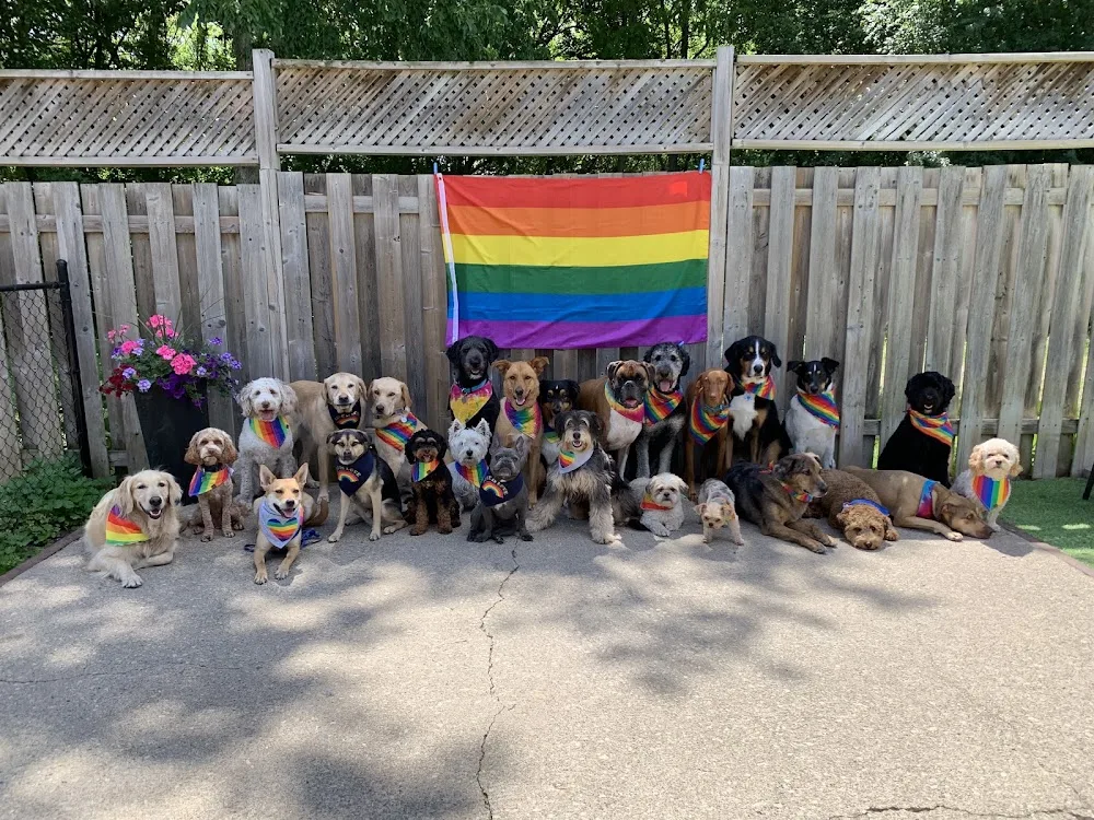 Packlife Dog Retreat Kitchener - Kitchener pet otel