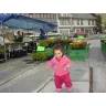 Elinehills kennel - Klågerup pet otel görseli 3
