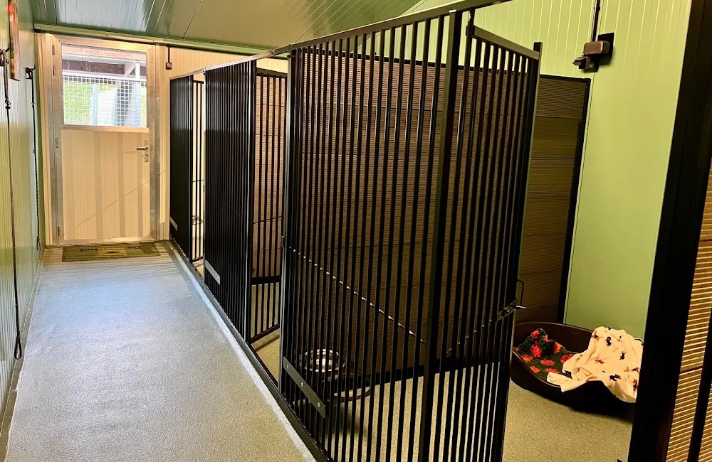 Dierenpension de Beekhof - Klarenbeek pet otel görseli 3