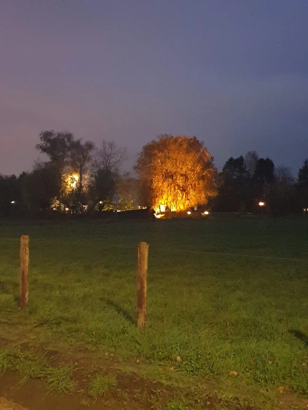 Dierenpension De Vos van Maarleveldhoeve - Klarenbeek pet otel görseli 3