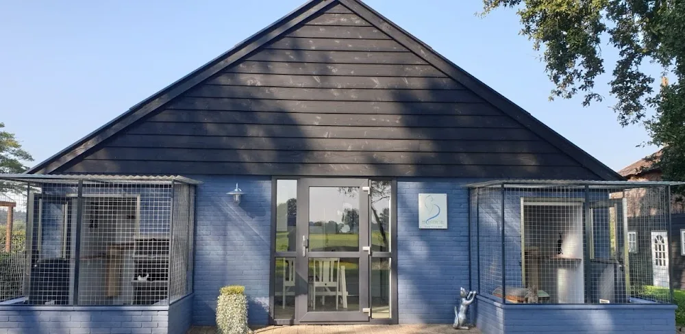 Het Kattenhotel - Klarenbeek pet otel
