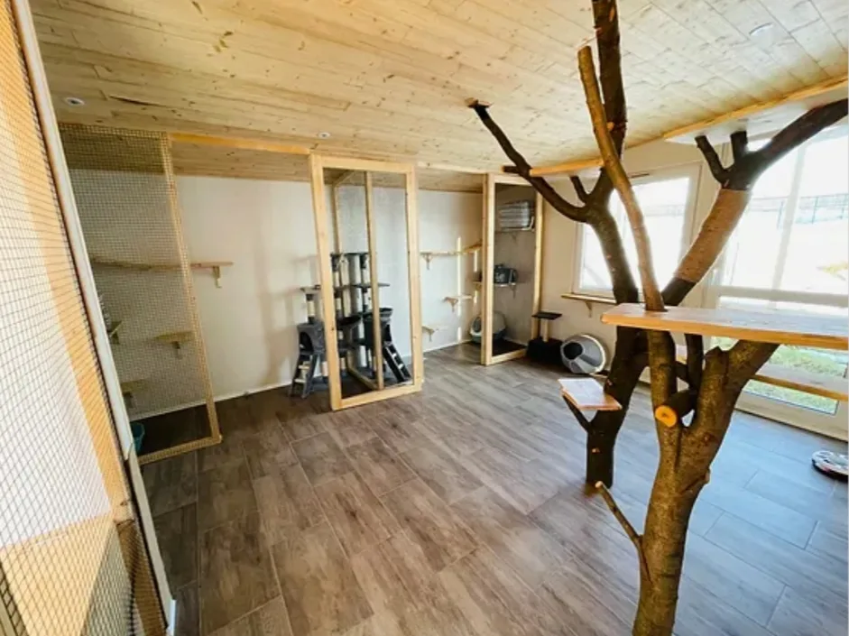 Katzenpension Richter - Klipphausen pet otel