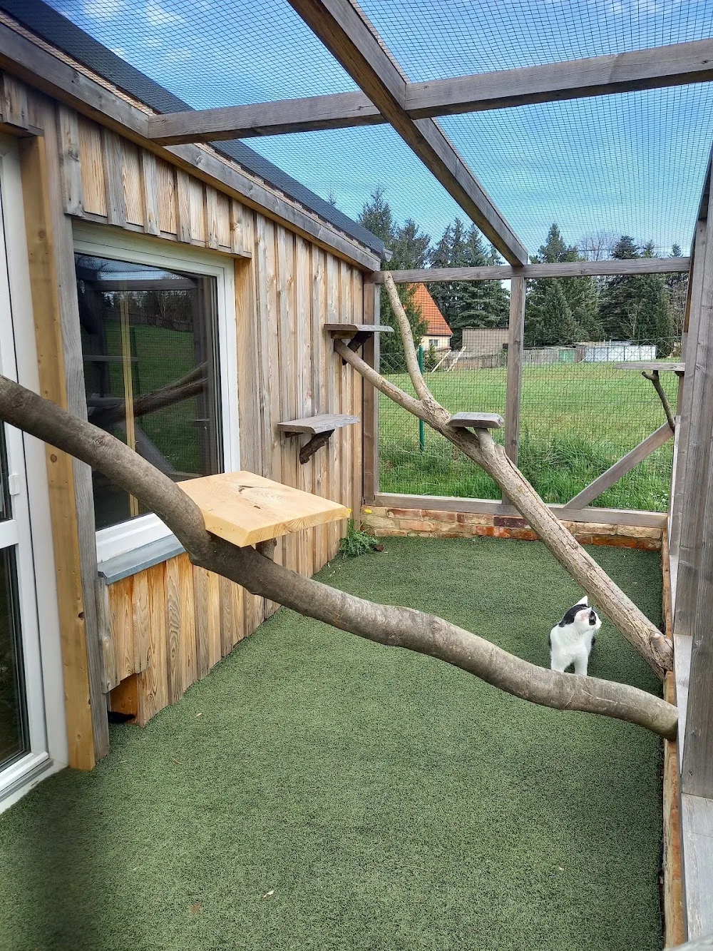 Katzenpension Richter - Klipphausen pet otel görseli 3