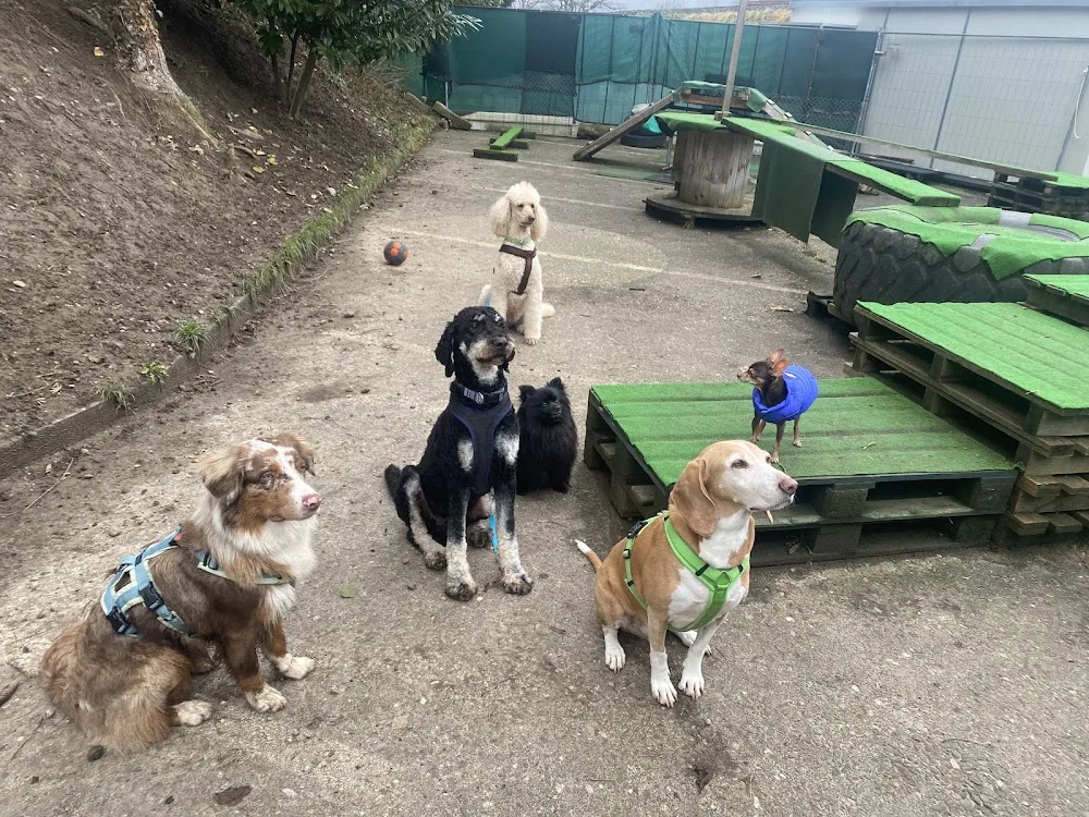 Die Tierpflegerin.ch - Koblenz pet otel