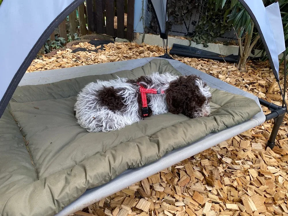 Die Tierpflegerin.ch - Koblenz pet otel görseli 3