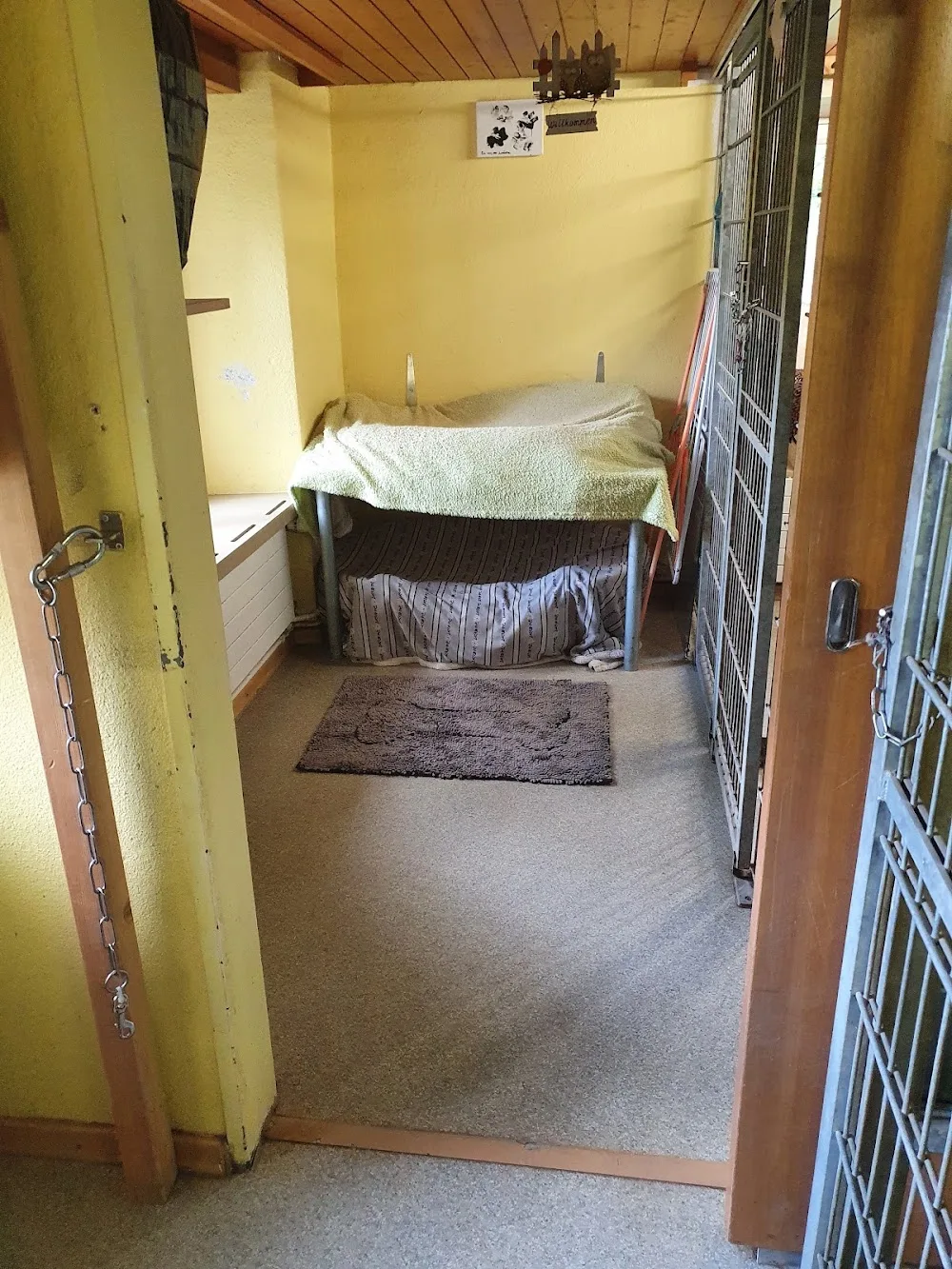 Hundepension Schürli - Kolbrun pet otel görseli 3