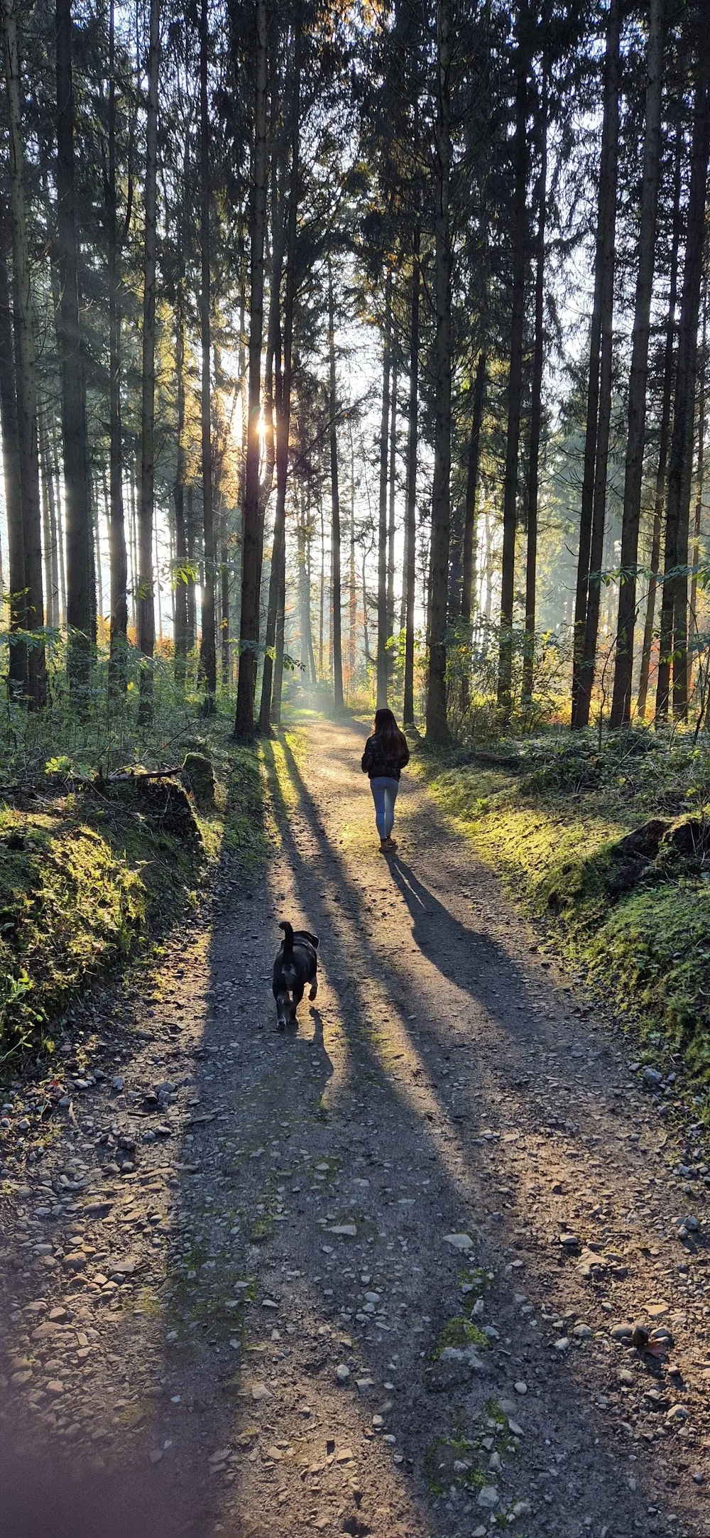 Hundestube Zürcher Unterland - Kolbrun pet otel görseli 2