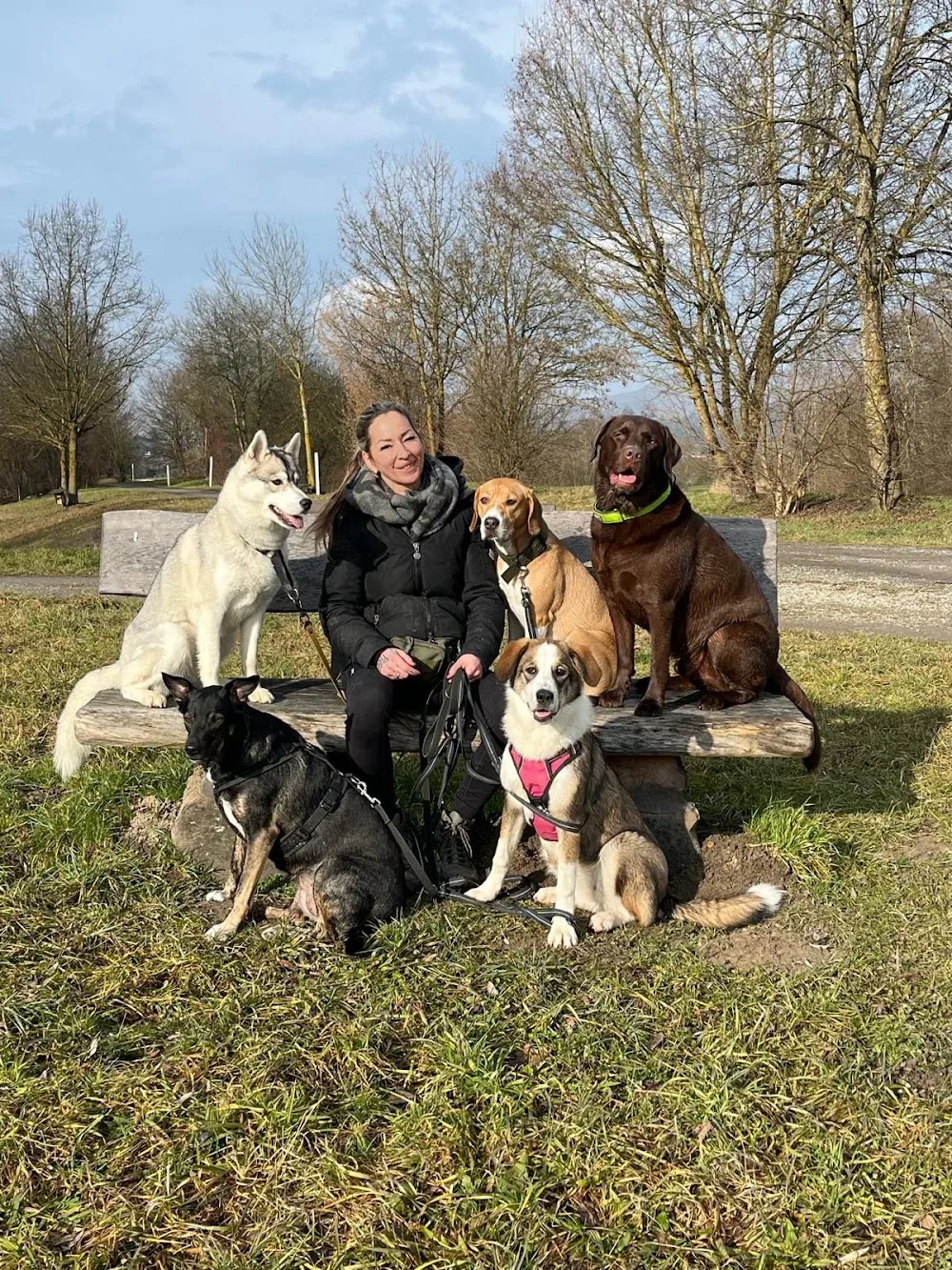 Hundestube Zürcher Unterland - Kolbrun pet otel görseli 3