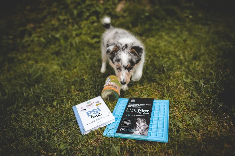 Snufi – Enrichment pro psy - Kolín pet otel görseli 3