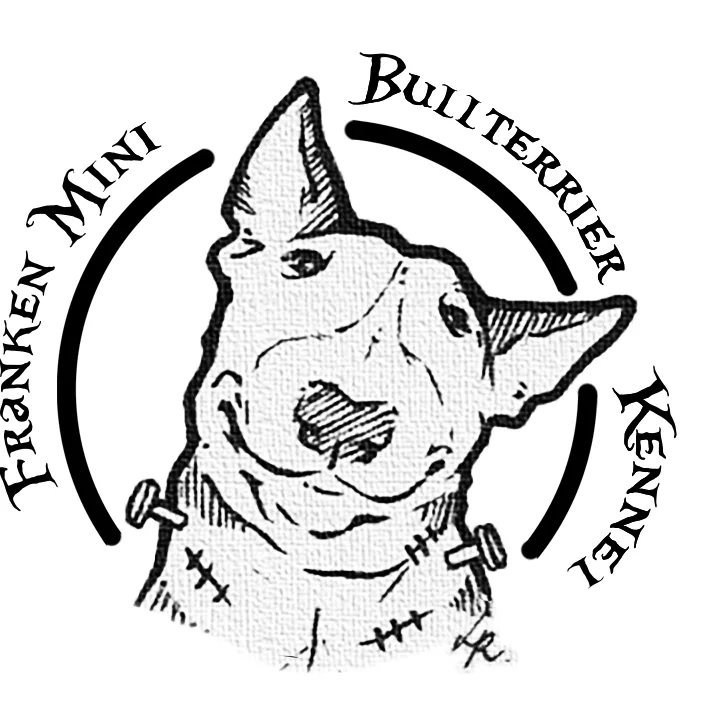 Franken Mini Bullterrier Kennel - Komárom-Esztergom pet otel görseli 2
