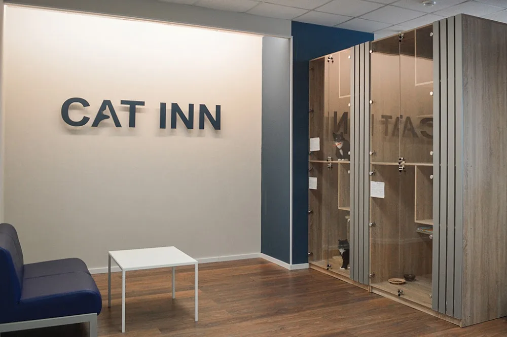 Гостиница для кошек CAT INN. Зоогостиница - Komi pet otel