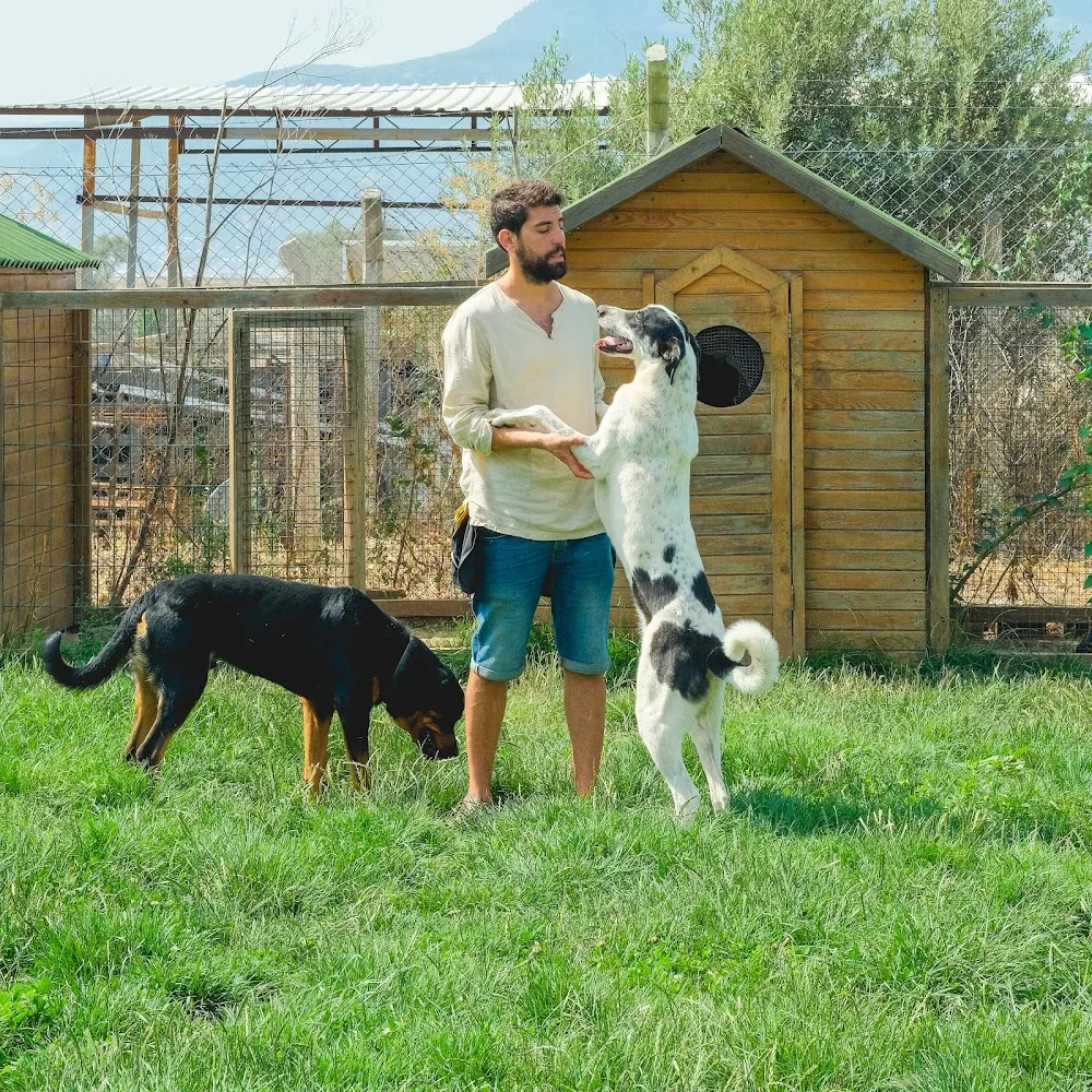 Köpek Bahçesi - Izmir pet otel görseli 2