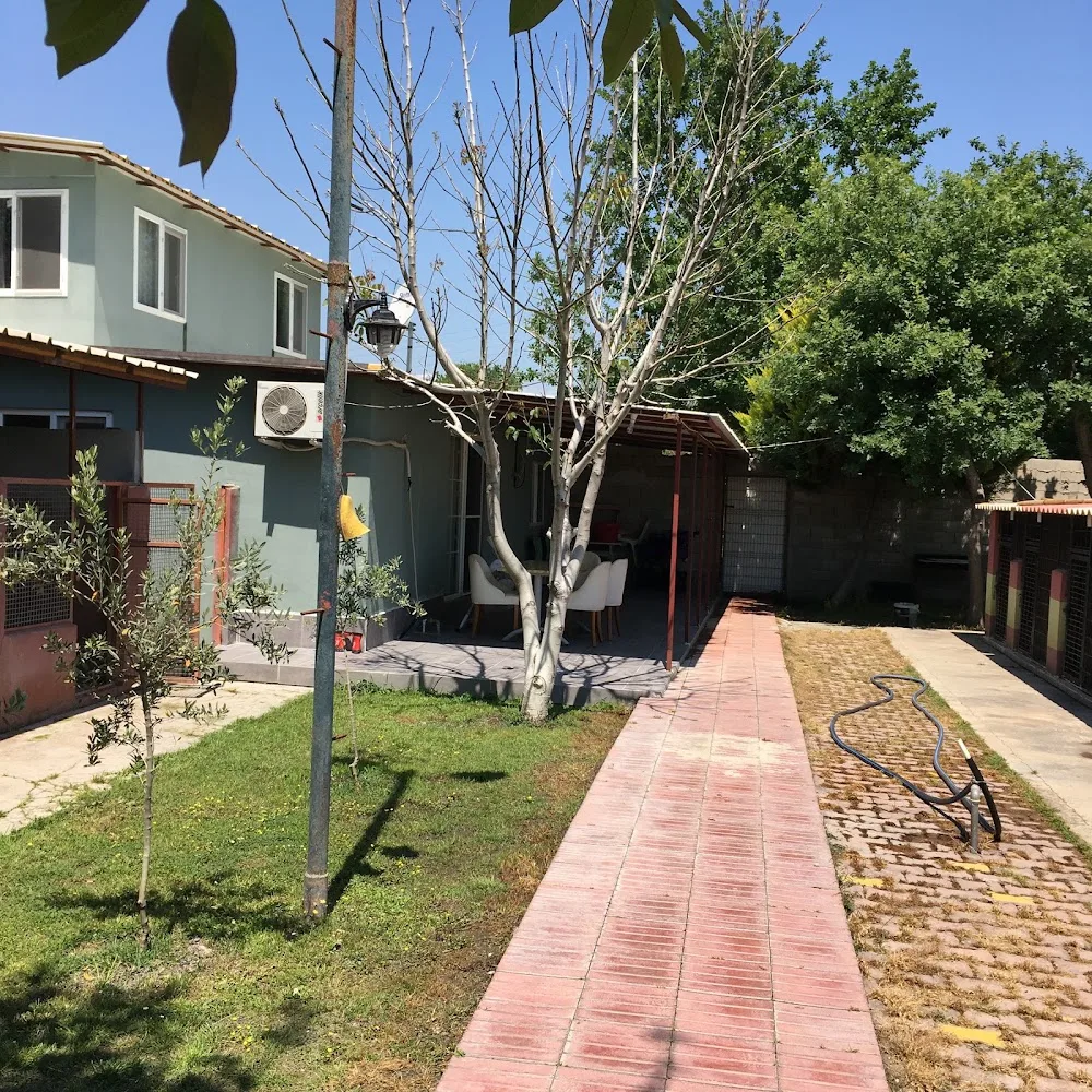 KÖPEK EĞİTİMİ ANTALYA - ANTALYA KÖPEK EĞİTİM MERKEZİ, köpek oteli, köpek pansiyonu - Kemer pet otel görseli 3
