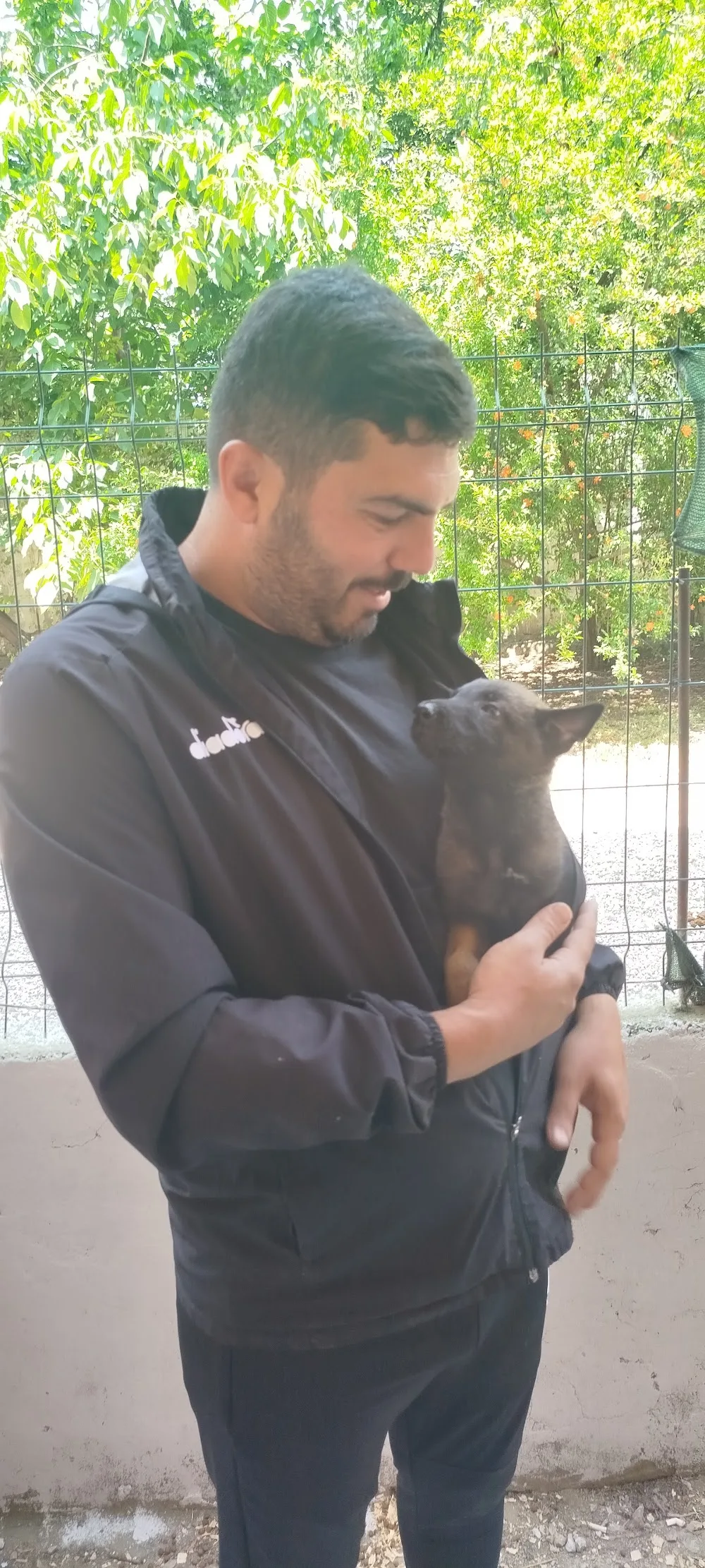 Körfez Köpek eğitim üretim ve pansiyon merkezi - Kocaeli pet otel