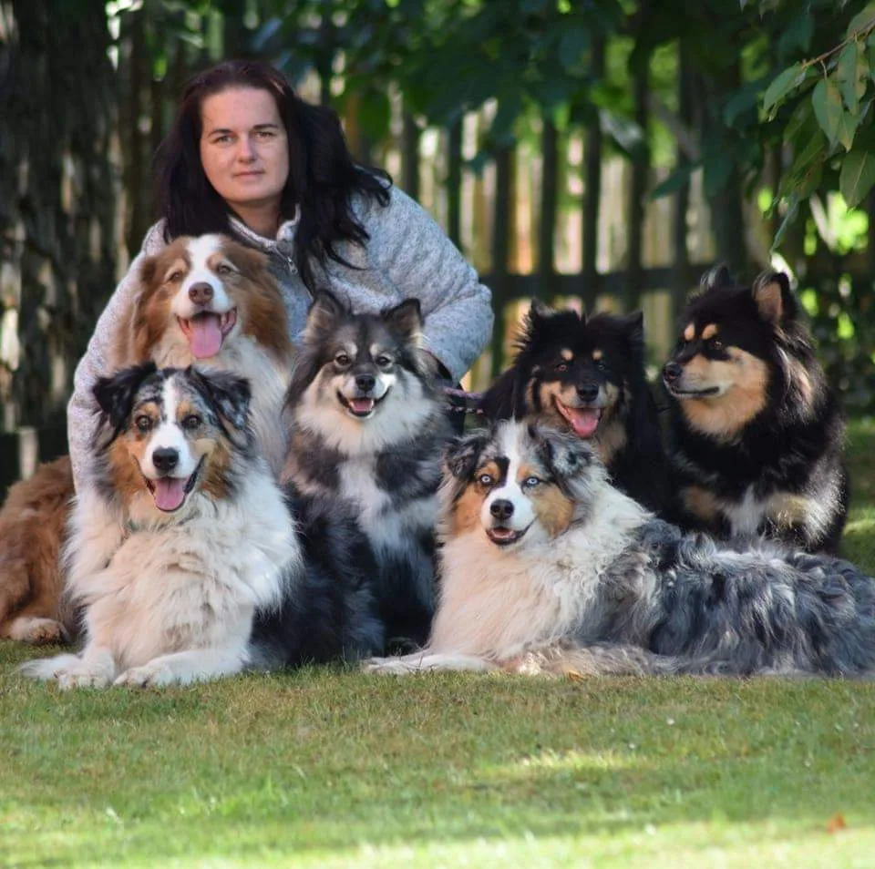 ApuestoDiablo kennel - Kraj Vysočina pet otel