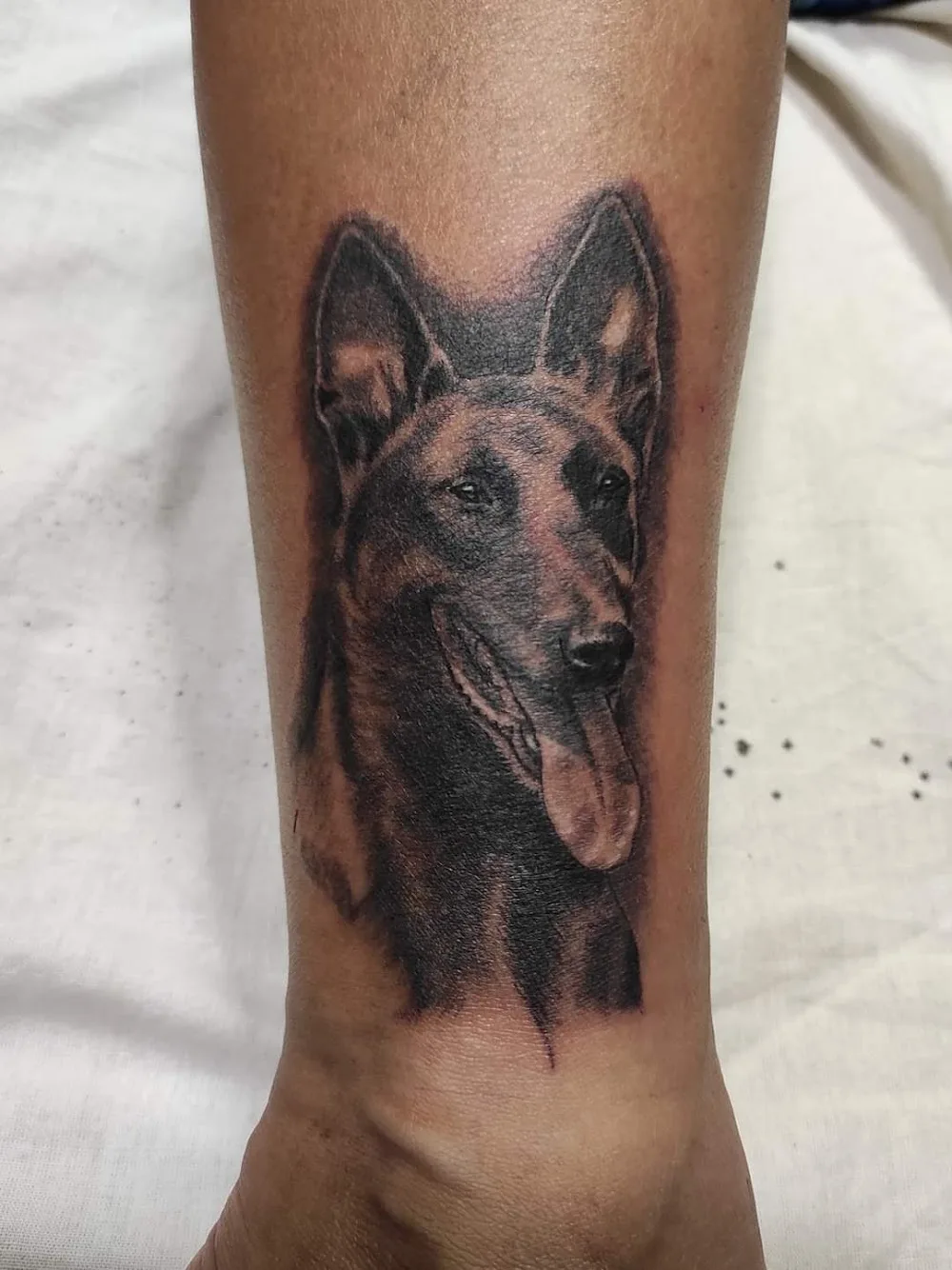 Malinois kennel Sa-Kra Beskydy, Drawings, Tattoo - Kraj Vysočina pet otel