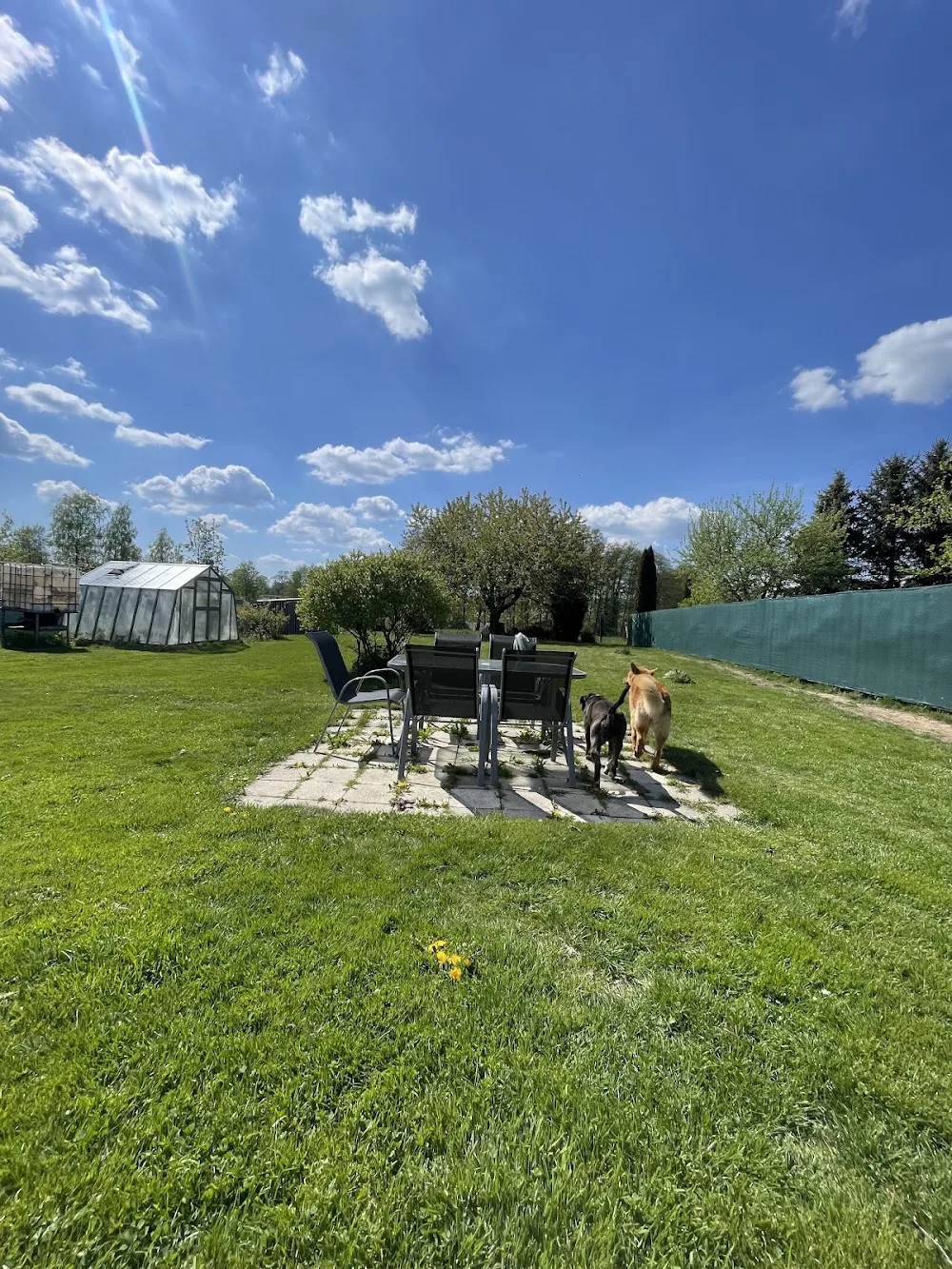 Pohlídej mazla - Kraj Vysočina pet otel görseli 3