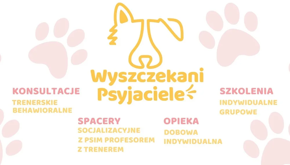 Wyszczekani Psyjaciele - domowy hotel dla psów, petsitter, catsitter, dogwalker, konsultacje trenerskie i behawiorystyczne - Kraków pet otel