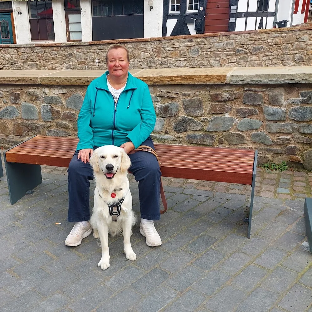 Maskotta Hundepension/-tagesstätte Aachen UG (hb) - Kreuzau pet otel görseli 5