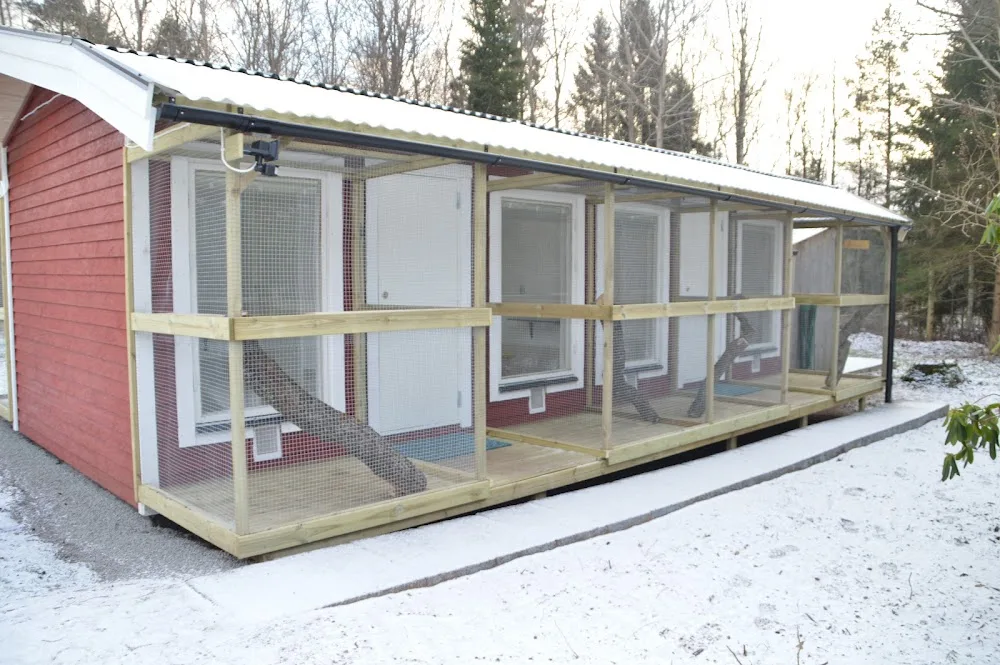 Markaryds kattpensionat - Kronoberg pet otel