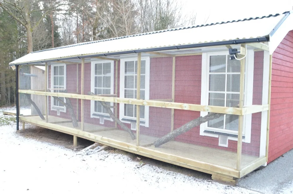 Markaryds kattpensionat - Kronoberg pet otel görseli 3