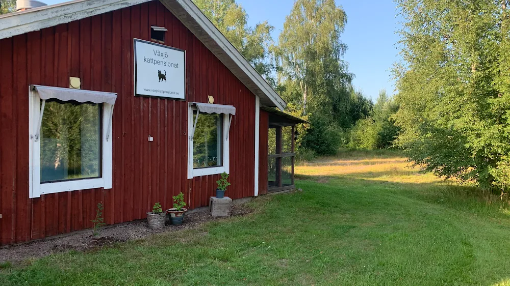 Växjö Kattpensionat - Kronoberg pet otel görseli 2