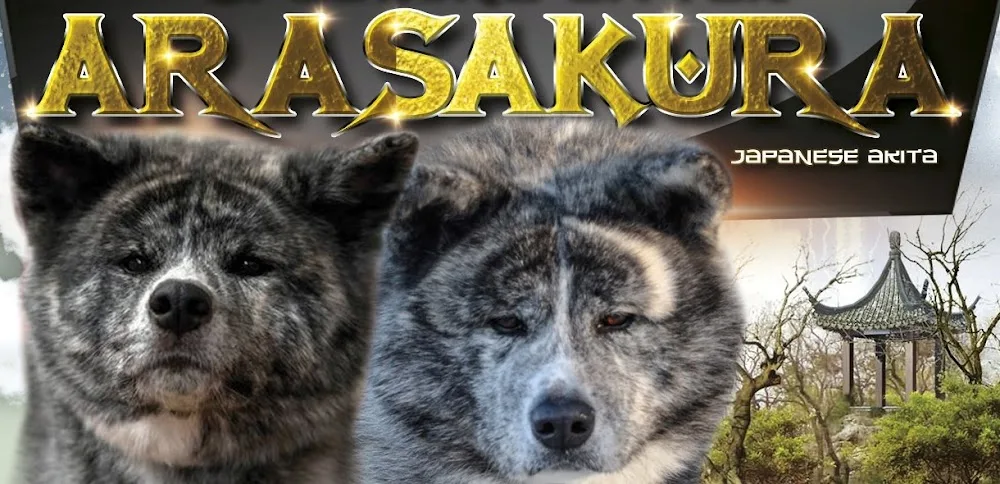 Kennel Arasakura - Kukkila pet otel