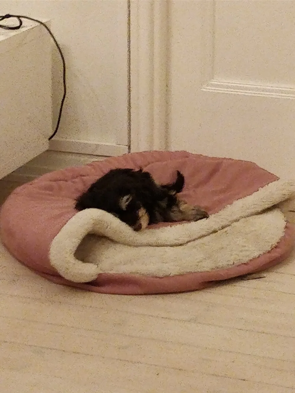 Kennel Jatakabi's - Kukkila pet otel