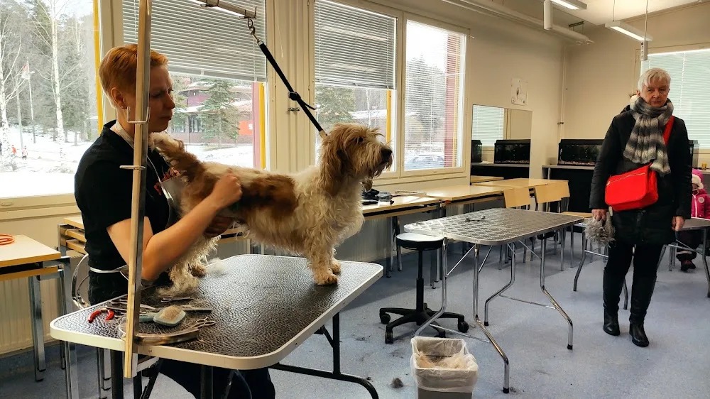Koira- ja kissahoitola Tassula - Kukkila pet otel görseli 3