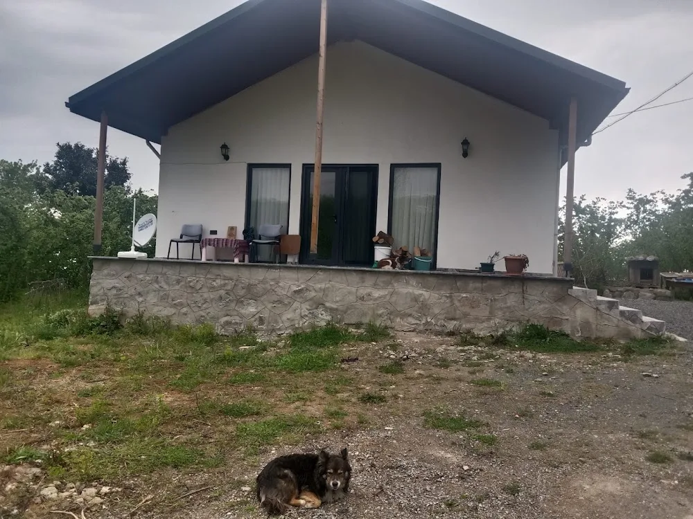 KURT PET OTEL TRABZON - Trabzon pet otel görseli 3