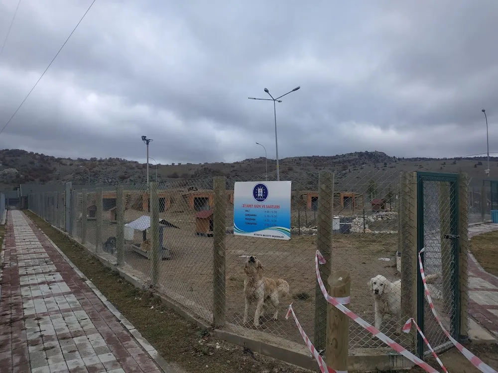 Kütahya Belediyesi Sokak Hayvanları Bakım Evi - Kütahya pet otel