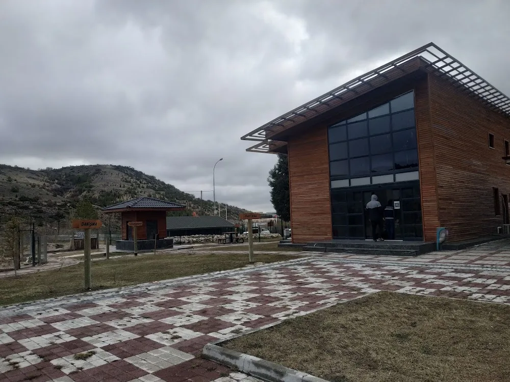 Kütahya Belediyesi Sokak Hayvanları Bakım Evi - Kütahya pet otel görseli 3