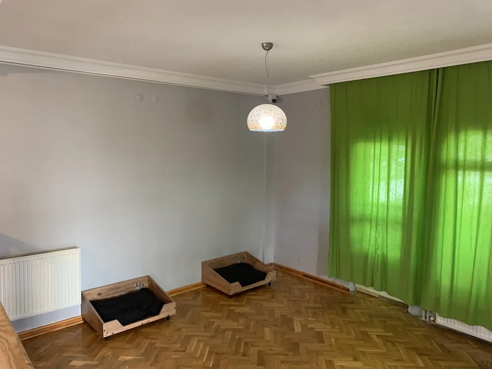 Kuti Pet Otel ve Köpek Eğitim Okulu - Ankara pet otel görseli 3
