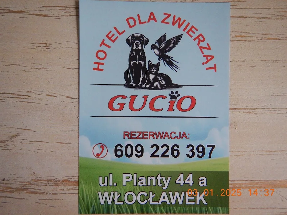 Hotel dla zwierząt GUCIO - Kuyavia-Pomerania pet otel