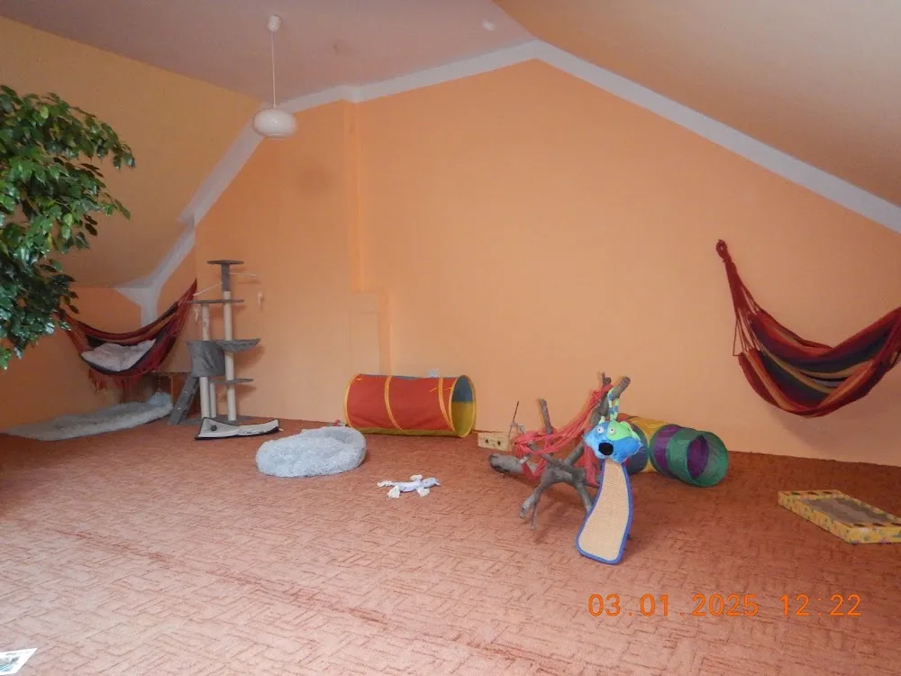Hotel dla zwierząt GUCIO - Kuyavia-Pomerania pet otel görseli 3