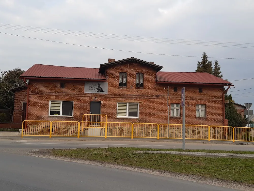 Hotel dla zwierząt Wąbrzeźno - Kuyavia-Pomerania pet otel görseli 3