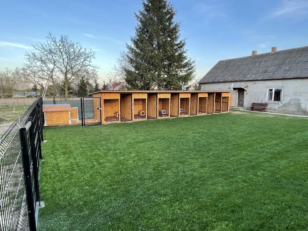 Psi Azyl / hotel dla psów lubanie Włocławek Kałęczynek - Kuyavia-Pomerania pet otel