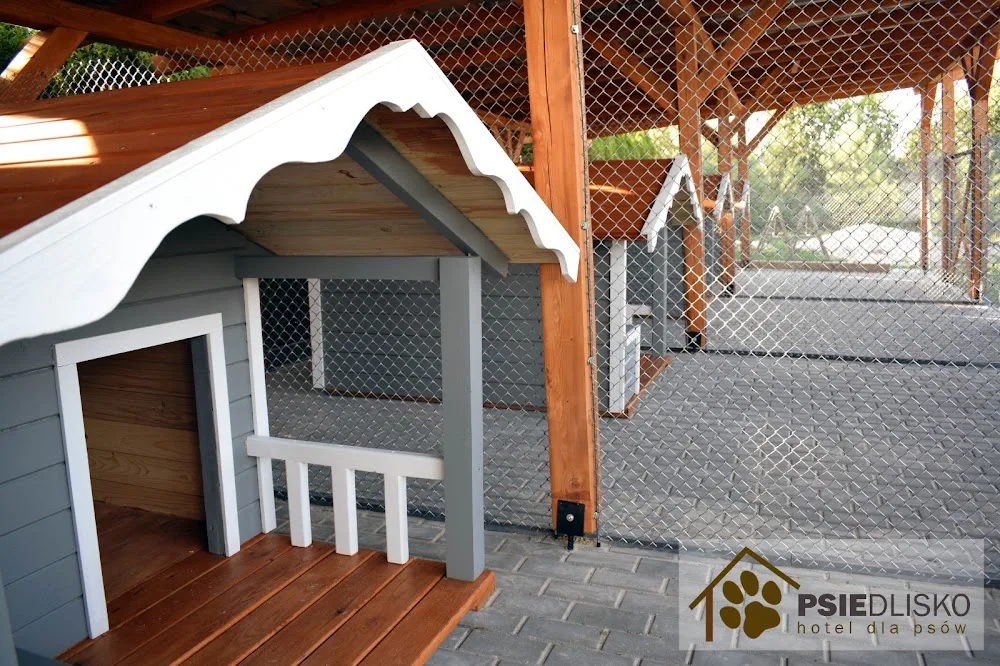 PSIEDLISKO hotel dla psów - Kuyavia-Pomerania pet otel görseli 2