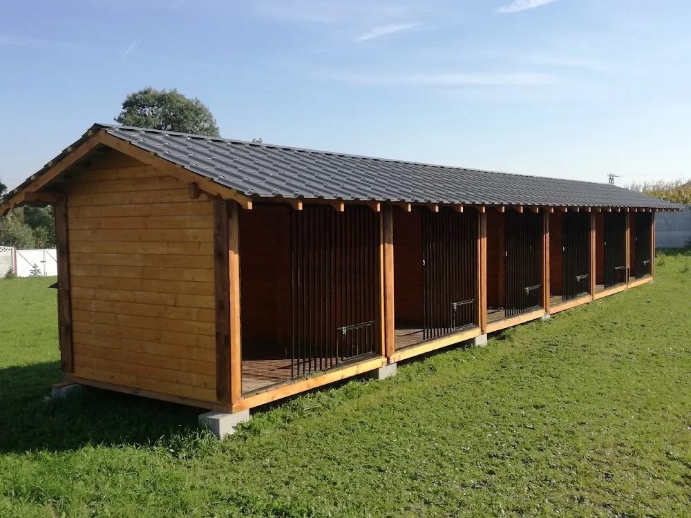 PSIEDLISKO hotel dla psów - Kuyavia-Pomerania pet otel görseli 3