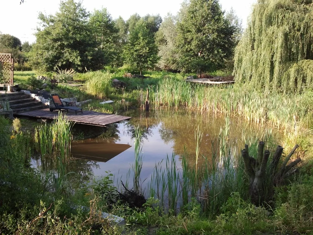 PsiKOTel - Kuyavia-Pomerania pet otel görseli 2