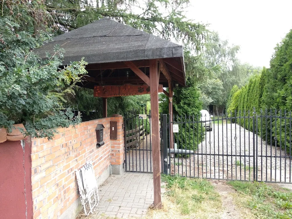 PsiKOTel - Kuyavia-Pomerania pet otel görseli 3